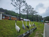 6/21(토) DMZ평화의길 16구간 걷기 - │올레길*둘레길 앨범실│ - 궁곡 *이세용 6/21(토) DMZ평화의길 16구간 걷기