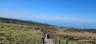 6/5(목) 제주 한라산 윗세오름 선작지왓 철쭉 산행 - │ 종주*명산 앨범실│ - 궁곡 *이세용 6/5(목) 제주 한라산 윗세오름 선작지왓 철쭉 산행