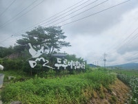 6/21(토) DMZ평화의길 16구간 걷기 - │올레길*둘레길 앨범실│ - 궁곡 *이세용 6/21(토) DMZ평화의길 16구간 걷기