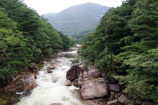 두타산(頭陀山) 여행. 3 삼화사(三和寺)로,,,. - ********** 국내여행방 - 산봉우리주말농원 두타산(頭陀山) 여행. 3 삼화사(三和寺)로,,,.
