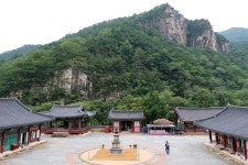 두타산(頭陀山) 여행. 3 삼화사(三和寺)로,,,. - ********** 국내여행방 - 산봉우리주말농원 두타산(頭陀山) 여행. 3 삼화사(三和寺)로,,,.