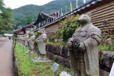 두타산(頭陀山) 여행. 3 삼화사(三和寺)로,,,. - ********** 국내여행방 - 산봉우리주말농원 두타산(頭陀山) 여행. 3 삼화사(三和寺)로,,,.
