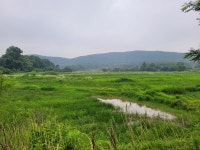 꾀꼬리 - 자유 게시판 - 칠보산 도토리교실 꾀꼬리