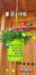 좋은하루 보내세요 - ◈자유 게시판 - 닭을 좋아하는 사람들의 모임 좋은하루 보내세요