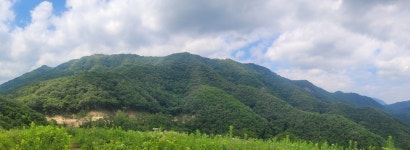 2026/07/12 금산 백암산, 신선봉, 선야봉 - 명산산행 후기/사진방 - 올올 산악회 2026/07/12 금산 백암산, 신선봉, 선야봉