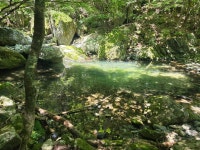 정선 먼골~항골 숨바우길 계곡 트레킹 - 명산산행 일정/사진방 - 올올 산악회 정선 먼골~항골 숨바우길 계곡 트레킹