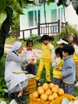 🍐배따기 체험 가을소풍🍐 - 2024학년도 즐거운 행사 - 인천노틀담유치원 🍐배따기 체험 가을소풍🍐