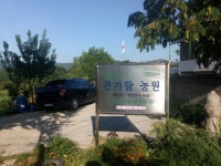 고구마 - ♡ 시 - 한국문인협회 홍천지부(화양의 예맥) 고구마