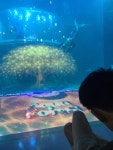나우커피 여수신월점 | 나우현 씨, 여행(여수) 25-14 여수 그리고 여름 - 단기사회사업 - 사회복지법인 나눔세상 나우현 씨, 여행(여수) 25-14 여수 그리고 여름