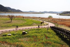 2022.04.09. 창녕 개비리길 - 산행 및 여행 후기 - 그산에 가고싶다 2022.04.09. 창녕 개비리길