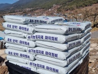 설날 감나무-매실나무/거름주기-가지치기-병충해방제(석회유황합제) 살포 - 구례성가네농장-감.매실 - 명창 김영숙(국가지정 무형문화재... 