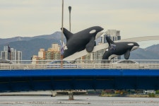 광안리해수욕장에서 수변공원 찍고 수영교로 - ―······아름다운세상 - 천주교 녹번동 성당 광안리해수욕장에서 수변공원 찍고 수영교로