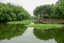 진주, 아담하고 단아한 초전공원 - ◈ ―‥‥♡풍경♡그림 - 보랏빛 사랑의 노래 진주, 아담하고 단아한 초전공원