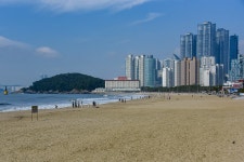 해운대, 달맞이고개 벚꽃 보고 해변길도 걷고 - 회원사랑방 - 신명언 국악원 해운대, 달맞이고개 벚꽃 보고 해변길도 걷고