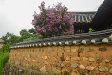 경주, 양동마을 나들이 - 이쁜 이미지 코너 - 기행사관1기동기모임 경주, 양동마을 나들이