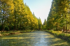 대능원에서 통일전까지 - (우)**풍경*풍물 사진실 - 음악과 영상의 사랑 음악과 영상의 사랑