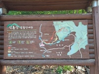 석룡산(2022,7,3) - .·´″```°³о 정기산행사진 - 홍천 메아리산악회 석룡산(2022,7,3)