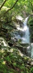 석룡산/복호동 폭포 - .·´″```°³о 정기산행사진 - 홍천 메아리산악회 석룡산/복호동 폭포