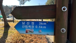 남산이 바뀌고 있어요 - .·´″```°³о 남산 산행 사진 - 홍천 메아리산악회 남산이 바뀌고 있어요