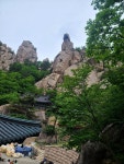설악산 대청봉(3) - .·´″```°³о 정기산행사진 - 홍천 메아리산악회 설악산 대청봉(3)