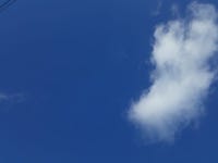 해남 쌈배추 판매합니다. - 농산물장터 - (귀농귀촌연구소 )전원주택매매 농가 부동산 목조 건축 황토집 해남 쌈배추 판매합니다.