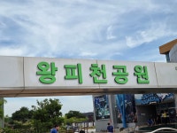 울진은어다리/ 월송정, 25. 07. 06. - ◐―――― 충청지회 - 5670 아름다운 동행 울진은어다리/ 월송정, 25. 07. 06.