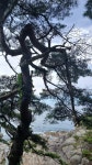 2026년 합동 여름캠프 1박2일 2 (7/8, 수, 능파대, 서낭바위, 석식... 합동 여름캠프 1박2일 2 (7/8, 수, 능파대, 서낭바위, 석식, 콘도 노래방)