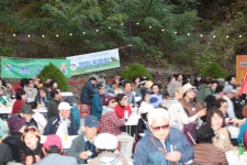 2025 10 31 시월의 마지막 밤 축제 - ◐――전체행사 사진방 - 5670 아름다운 동행 2025 10 31 시월의 마지막 밤 축제