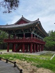 울진은어다리/ 월송정, 25. 07. 06. - ◐―――― 충청지회 - 5670 아름다운 동행 울진은어다리/ 월송정, 25. 07. 06.