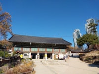 제 288차 역탐(강남 봉은사)^^ - ♡―탐방후기 사진 등 - 5670 아름다운 동행 제 288차 역탐(강남 봉은사)^^