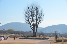 경북 구미 동락파크골프장 36홀(우리나라1호 공인구장) - ♡―후기사진 정보 등 - 5670 아름다운 동행 경북 구미 동락파크골프장 36홀... 