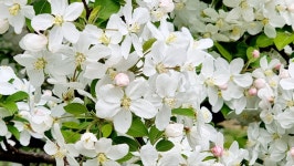 좋은날 만들기 - ◐――풍경이 있는 찻집 - 5670 아름다운 동행 좋은날 만들기