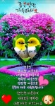 우이동미림산장안전기원제 - ◐――전체행사 사진방 - 5670 아름다운 동행 우이동미림산장안전기원제