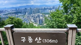 대모산-구룡산. 옛골대장) - ♡―산행후기 사진 등 - 5670 아름다운 동행 2024년 7월 수요산행(7/10. 대모산-구룡산. 옛골대장)