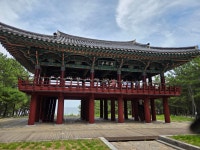 울진은어다리/ 월송정, 25. 07. 06. - ◐―――― 충청지회 - 5670 아름다운 동행 울진은어다리/ 월송정, 25. 07. 06.