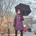 12.16(화)1ㅡ1♡ - ♡―걷기후기 사진 등 - 5670 아름다운 동행 ♡ 인천 ♡계양산 ♡묵상동 ♡솔밭 둘레길 걷기25.12.16(화)1ㅡ1♡