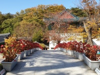 더쿠 - [불교 사찰] 경남 양산 통도사.jpg
