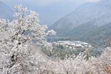 경북 청도 운문사 - 엽기사진실 - 이종격투기 경북 청도 