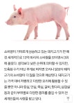 세계에서 가장 많이 먹는 고기 순위 - 엽기사진실 - 이종격투기 세계에서 가장 많이 먹는 고기 순위