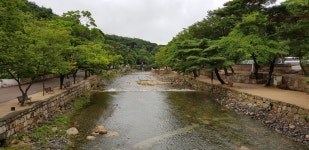 더쿠 - [불교 사찰] 경남 양산 통도사.jpg