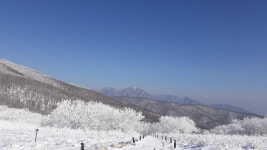 강원도 인제 점봉산 곰배령 - 엽기사진실 - 이종격투기 강원도 인제 점봉산 곰배령