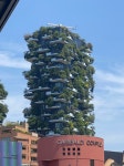 친환경 아파트 - 엽기사진실 - 이종격투기 친환경 아파트