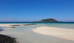 제주 한림읍 비양도 섬 - 엽기사진실 - 이종격투기 제주 한림읍 