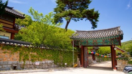 부산 금정구 범어사 - 엽기사진실 - 이종격투기 부산 금정구 