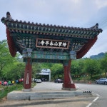 세종시 영평사 - 엽기사진실 - 이종격투기 세종시 