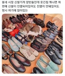 동네 시장 신발가게 고양이들 웃긴점 뭐냐면 - 엽기사진실 - 이종격투기 동네 시장 신발가게 고양이들 웃긴점 뭐냐면