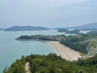 전남 고흥 남열해돋이해수욕장 - 엽기사진실 - 이종격투기 전남 고흥 