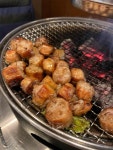 꼬소하이 대창구이 - 엽기사진실 - 이종격투기 꼬소하이 대창구이