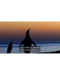 연인과 헤어졌을 때 쓰기 좋은 프사 - 웃긴자료 ‥‥‥‥‥、 - 도탁스 (DOTAX) 연인과 헤어졌을 때 쓰기 좋은 프사
