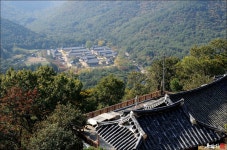 경북 청도 운문사 - 엽기사진실 - 이종격투기 경북 청도 